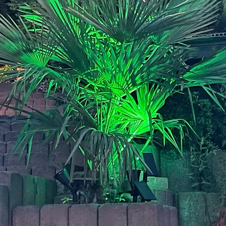 Liliensteinblick *
